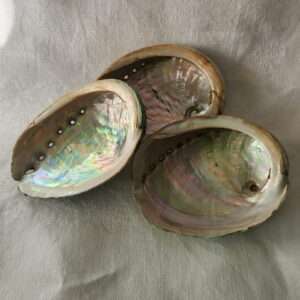 Abalone Smudge Bowl