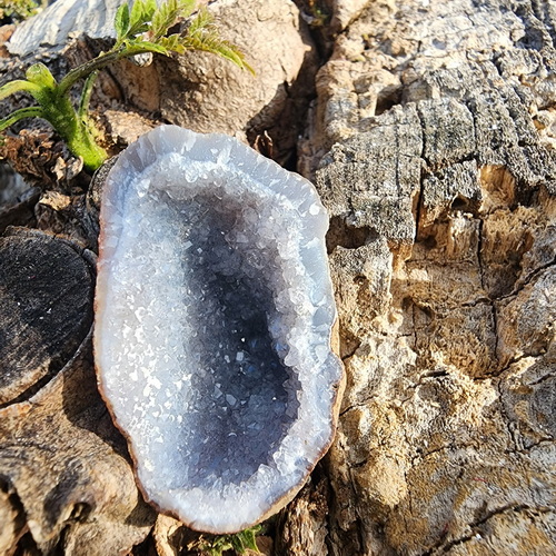 Agate Geode 4