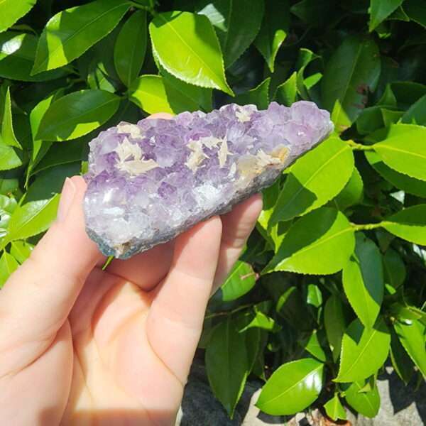 Amethyst Dogtooth Calcite Cluster26