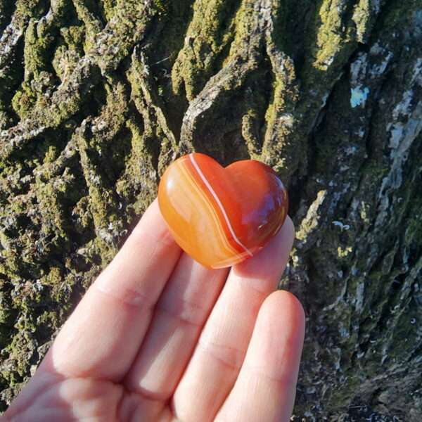 Orange Agate Heart5