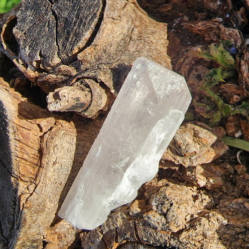 Danburite Natural Crystal Point